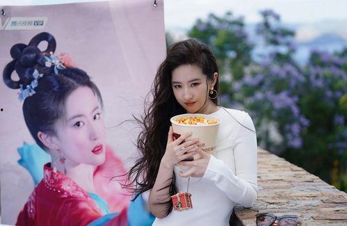 yyqx圈内爆料刘亦菲,揭秘女神背后的故事  第3张